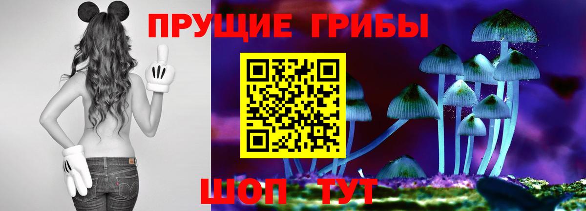 Кыштым  Псилоцибиновые грибы Psilocybe  Вход с VPN 